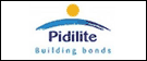 Career in Pidilite Industries 