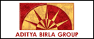 Career in Aditya Birla Group