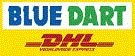 Careers in Blue Dart Express 
