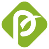 Pragma Softwares logo
