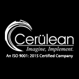 Cerulean Information Technology