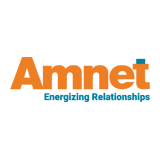 Amnet Systems logo