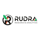Rudra Research And Analytics logo
