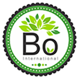 Bo International logo