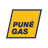 Pune Gas Systems Pvt. Ltd.  logo