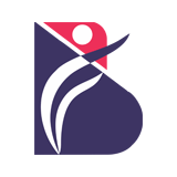 Bsri Solutions logo