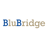 Blubridge Technologies Pvt Ltd logo