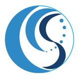 COHERENCE CONSULTING SERVICES