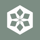 Dcm Shriram International logo