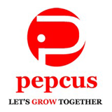 pepcus software services