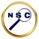 Netsyscon logo