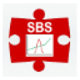 Strategy And Business Solutions logo