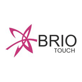Brio Interactive Technologies Ltd logo