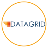 Datagrid Solutions