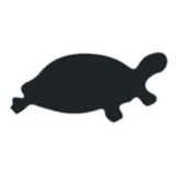 Black Turtle