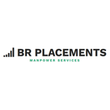 BR Placements logo