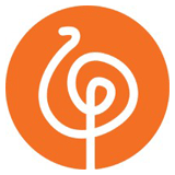 Hakuna Matata Solutions logo