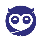 Sleepy Owl