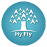 HY Fly Consultancy logo