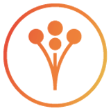 Weddingwire logo