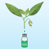 SBL Pvt Ltd logo