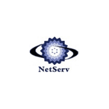 Netserv logo