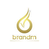 BrandM Advertising and Entertainment Private Limited logo