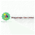 Bhagyanagar Gas logo
