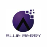 Blue Berry E-services logo
