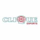 Clique Exports Pvt Ltd. logo