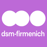 Dsm Shared Services India logo
