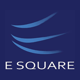 E Square System & Technologies logo