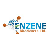 Enzene logo