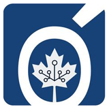NashTech India, Earlier Knoldus logo