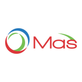 Teammas logo