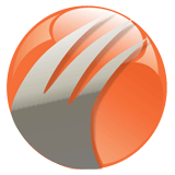 Pronix It Solutions logo