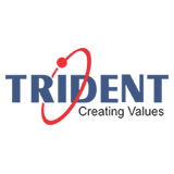 Trident Information Systems logo