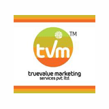 Truevalue Marketing Services logo