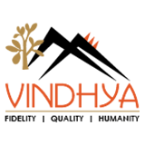 Vindhya E Infomedia logo