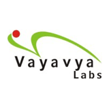 Vayavya Labs logo