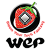 Wep Solutions India logo