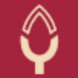 Yash Pakka Ltd. logo