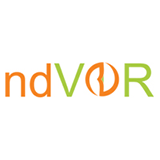 Ndvor It Solutions logo