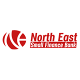 NESFB logo