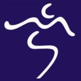 Mancer Consulting Services logo
