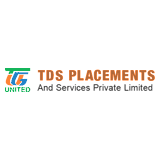 Tds Placements logo