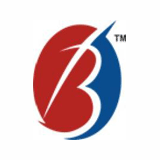 Bigshare Services logo