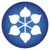 DCM Shriram Industries logo