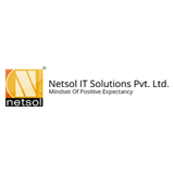 Netsol It Solutions logo