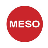 Meso logo